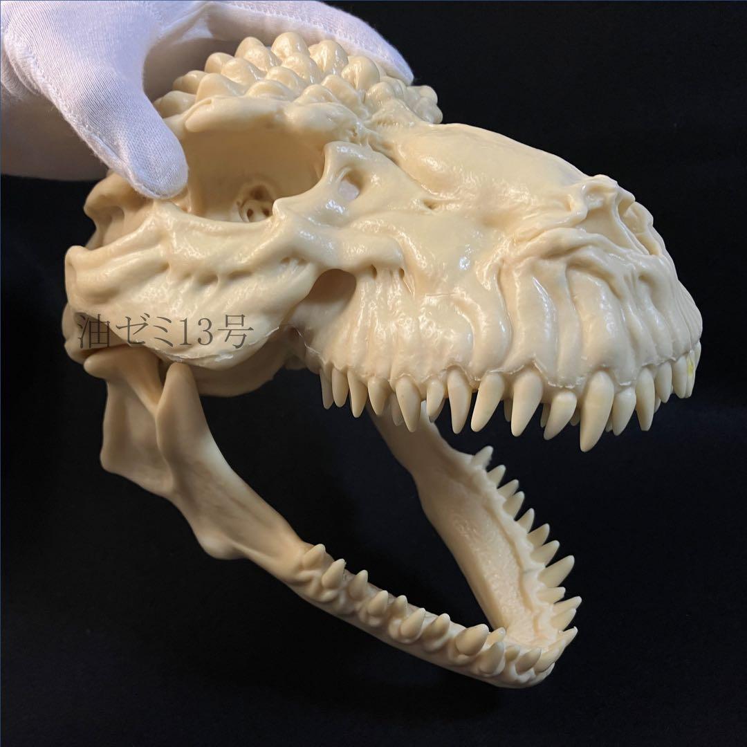 ゴジラスカル　Godzilla skull　ガレージキット　頭骨　頭蓋骨