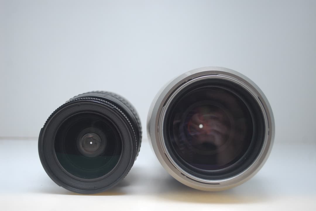 ✨近距離も遠距離も撮影可✨Nikon D50ダブルセット 初心者必見！