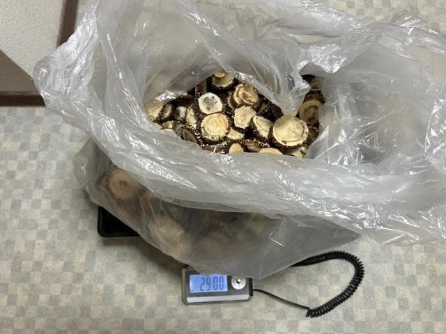 北海道産シカ角おやつ 29kg