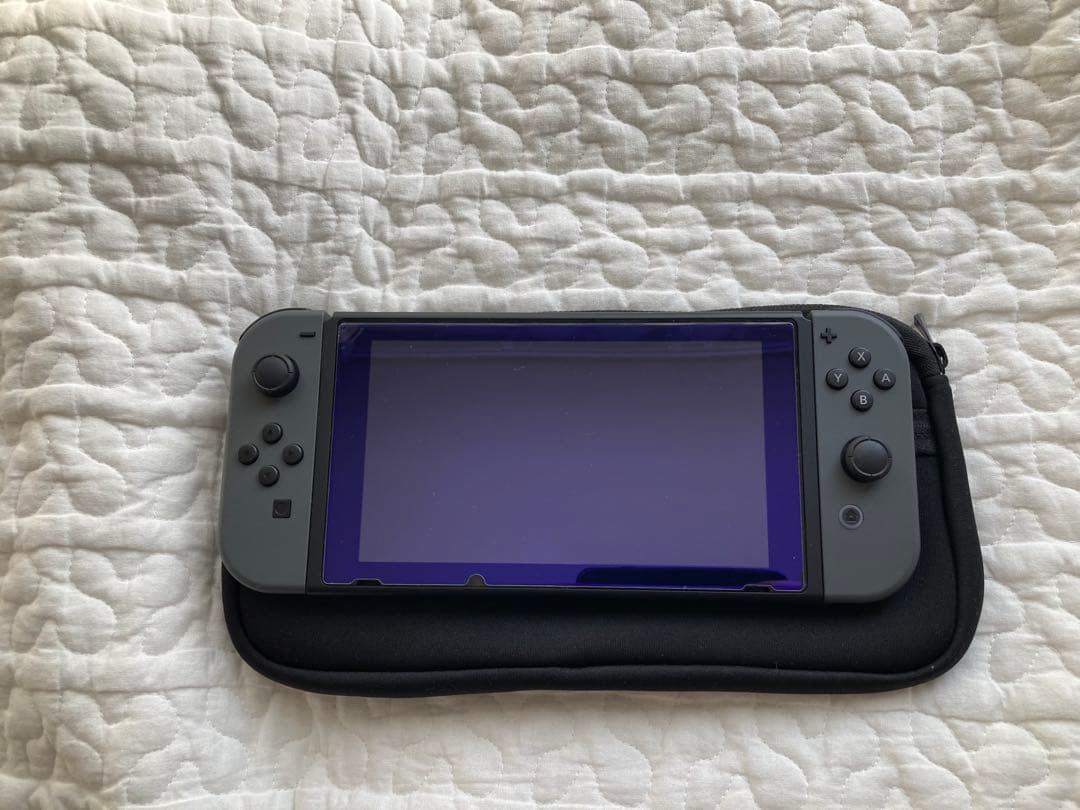 Nintendo Switch グレー 本体とケース