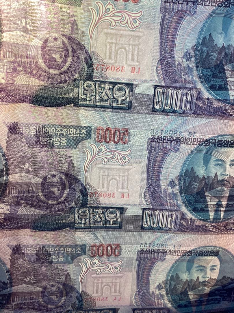 北　造幣局　希少　未発行