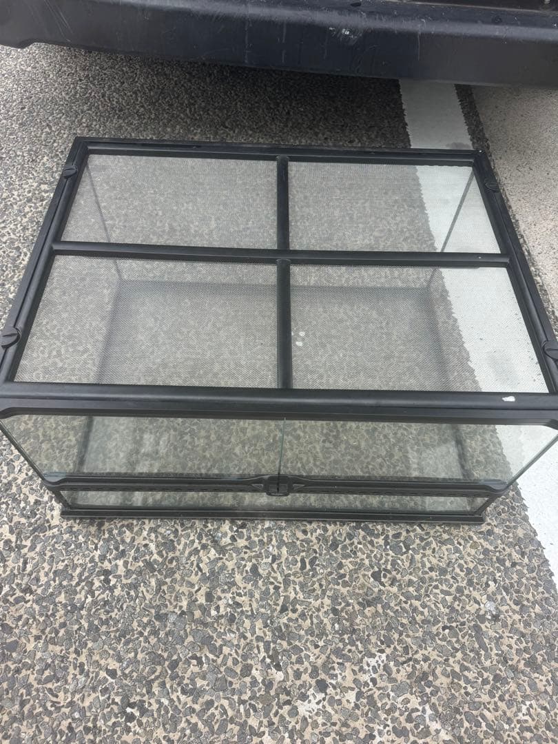 中型ガラス飼育ケージ