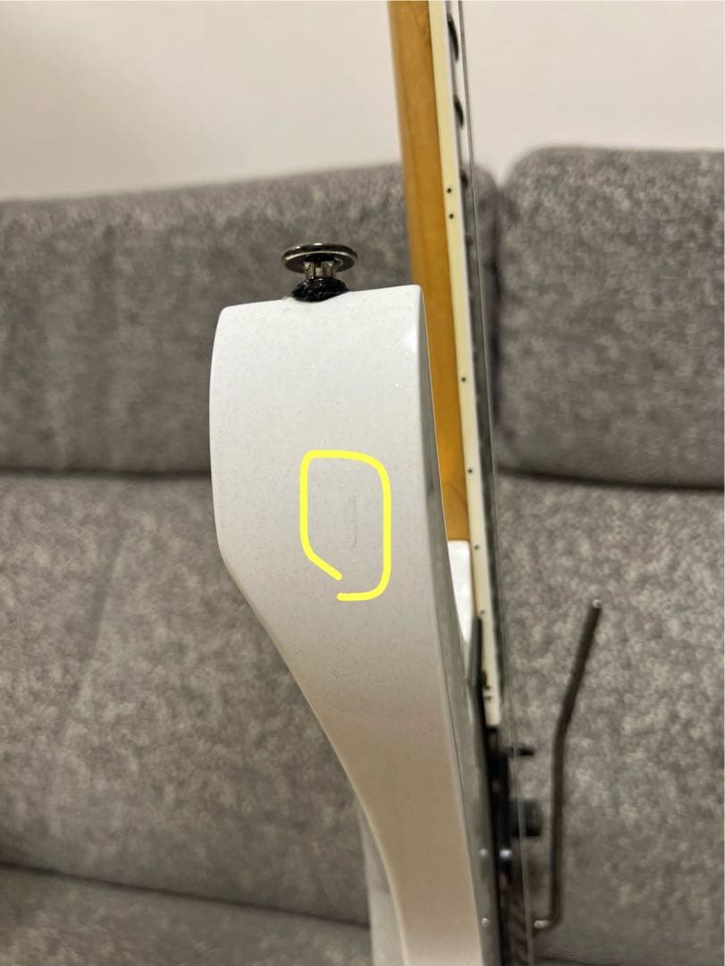 Ibanez Prestige RG2550ZGW 専用ハードケース付