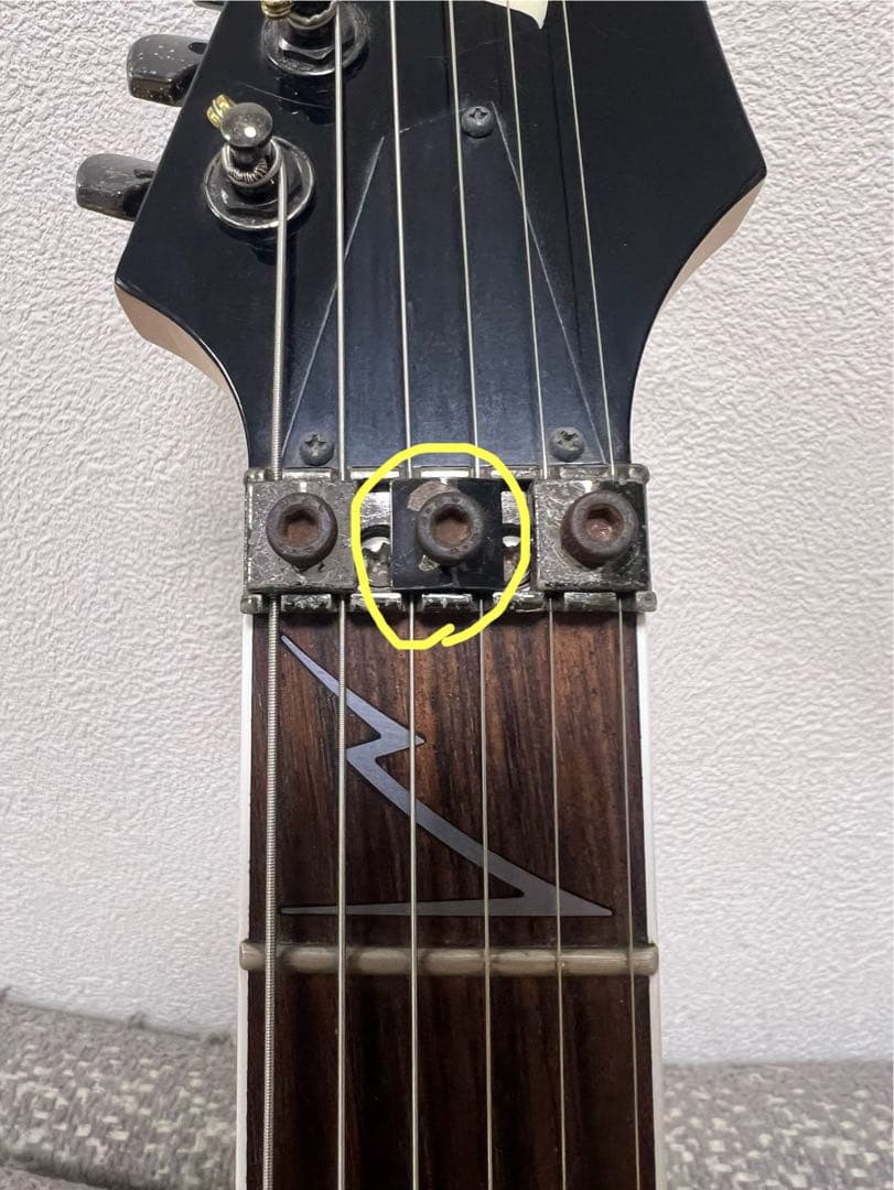 Ibanez Prestige RG2550ZGW 専用ハードケース付