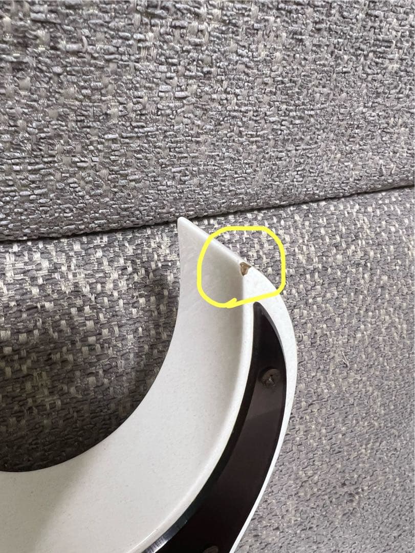 Ibanez Prestige RG2550ZGW 専用ハードケース付