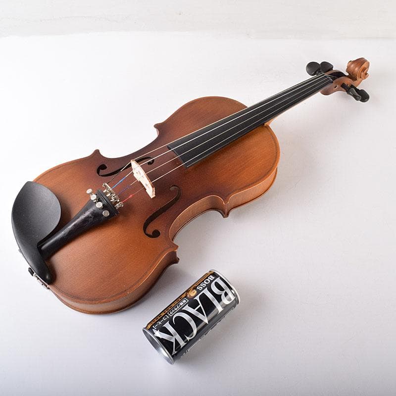 弦楽器　バイオリン　ハルシュタット　ハードケース付　F　R7934C