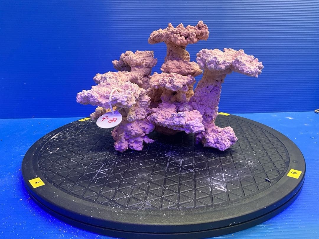 人工ライブロック. No.9-8 無害化処理済