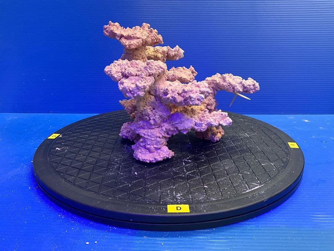 人工ライブロック. No.9-8 無害化処理済