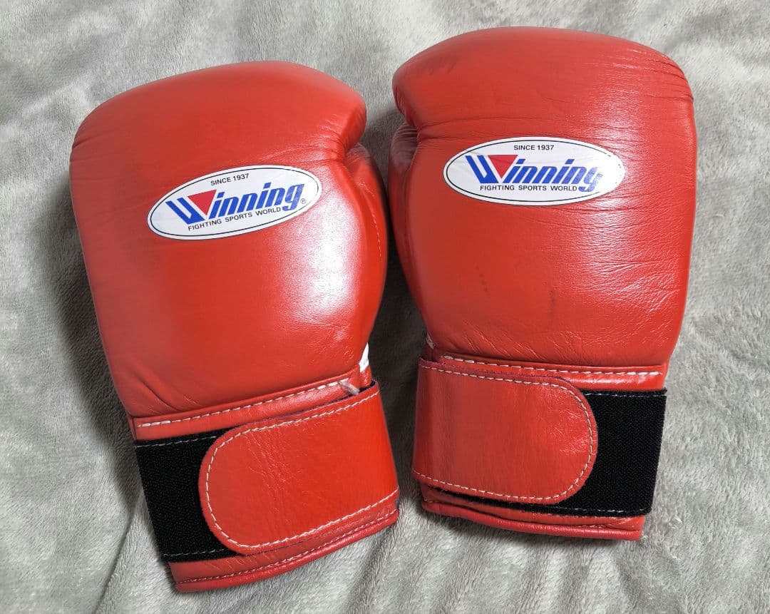 Winning ウイニング　ボクシンググローブ 10 オンス