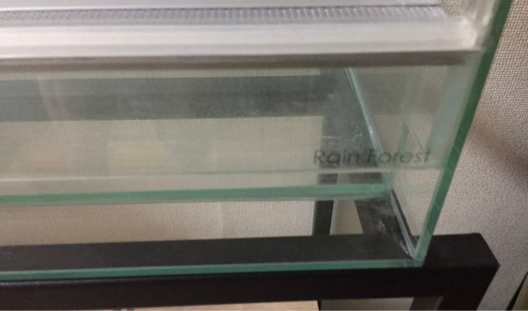 Rain Forest PCP6045 パルダリウムケージ お値下げ可能
