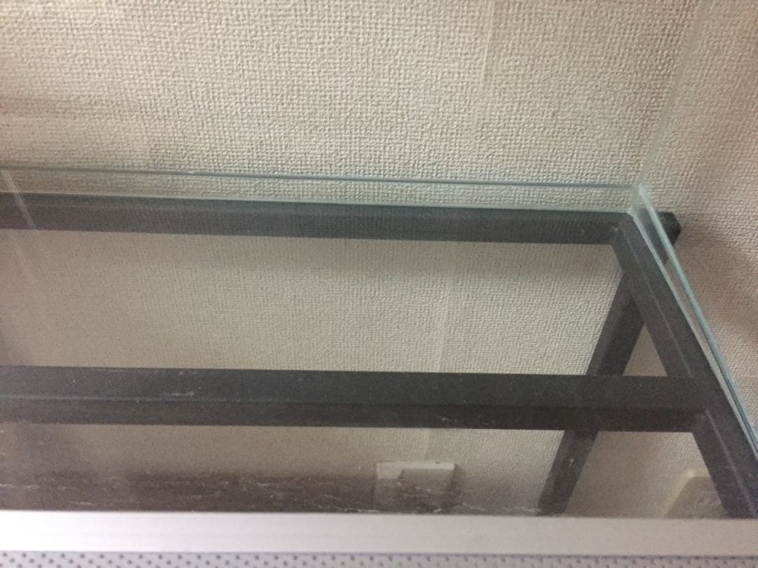 Rain Forest PCP6045 パルダリウムケージ お値下げ可能