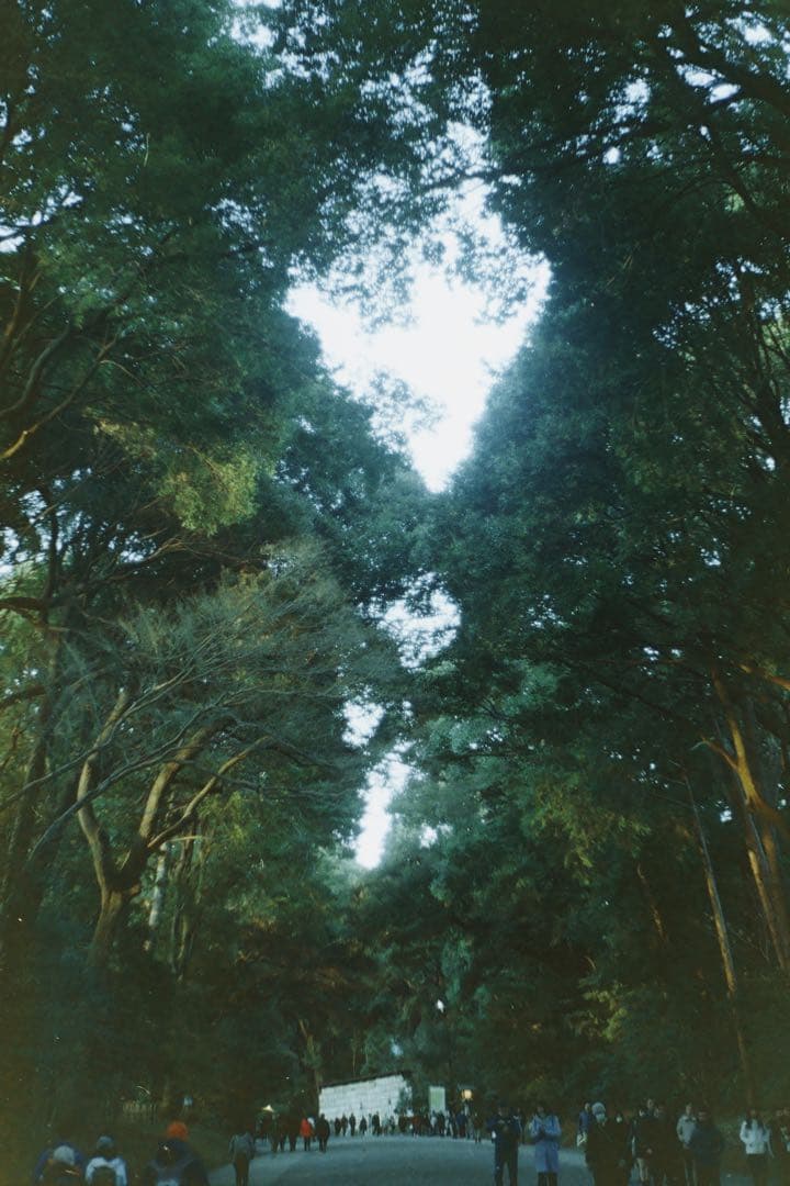 Leica lllc【50mm f2】【1946年式】【OH済】【作例有】極美品