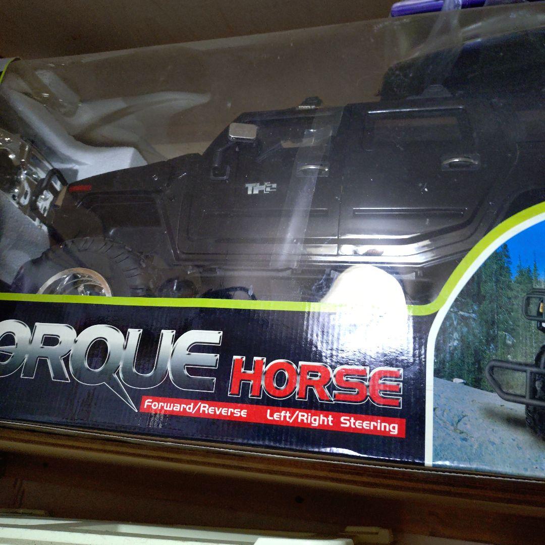 トルクホース 1:6スケール ラジオコントロールカー