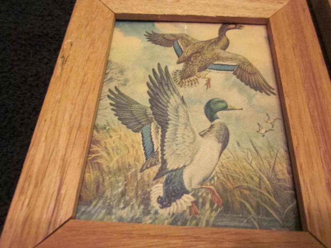 1950年代 メイドインUSA　リトグラフコレクション4 個セットアートプリント