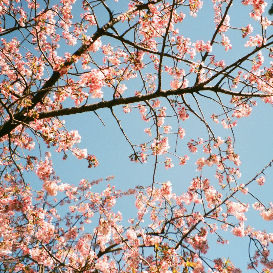 OLYMPUS μ-III 150 コンパクトフィルムカメラ