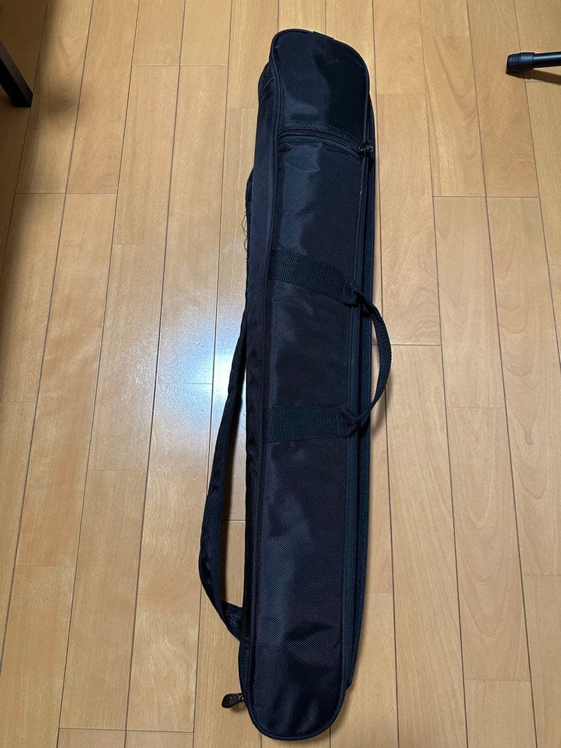 Anygigトラベルギター