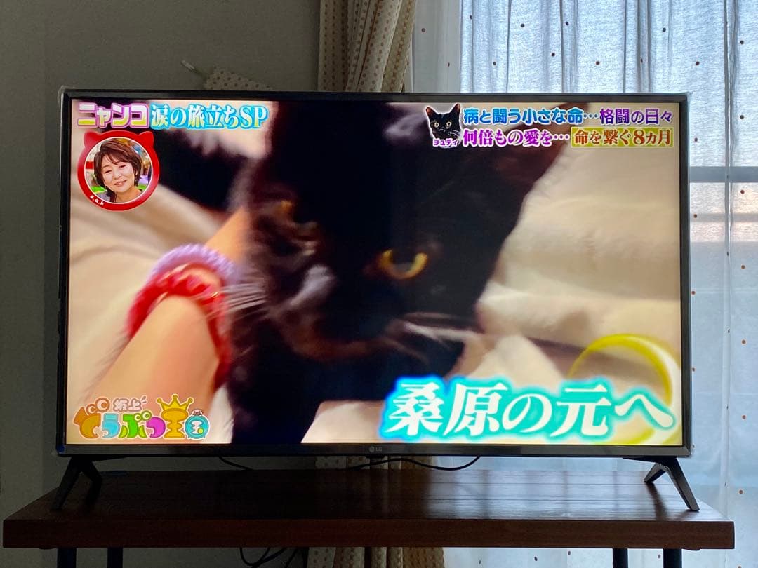 4K対応 Wi-Fi アプリ多数 43インチ液晶テレビ LG 43UJ6100