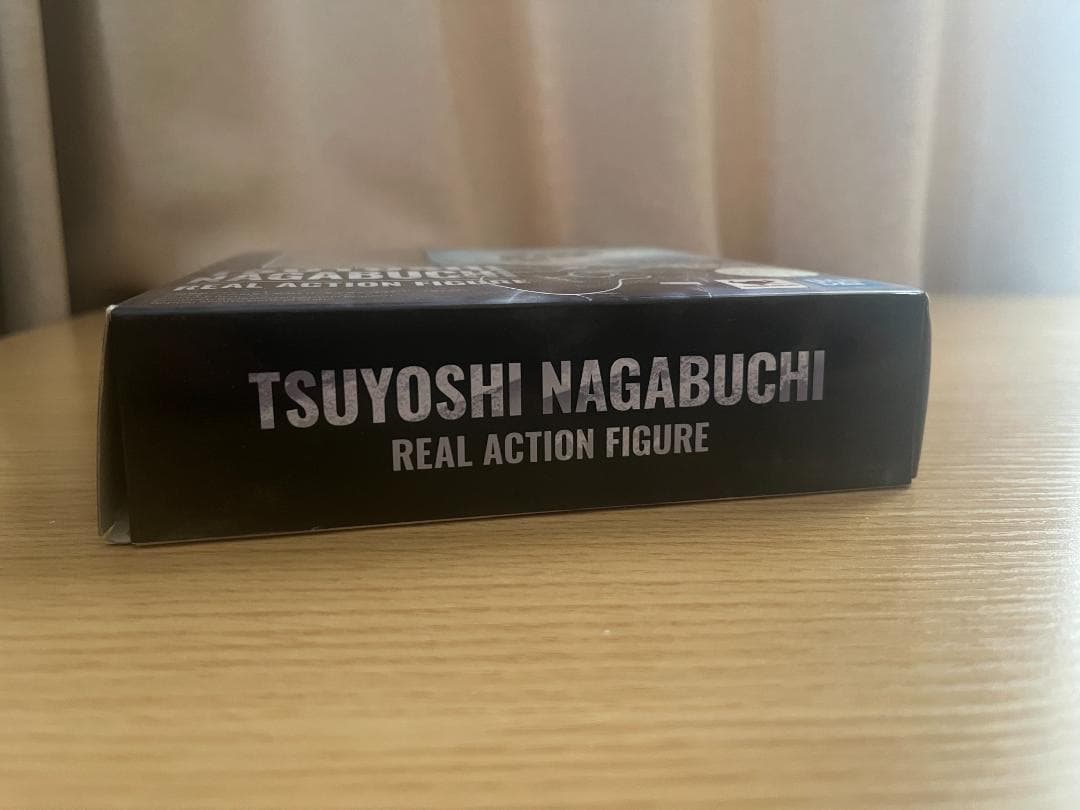 ミュージシャン TSUYOSHI NAGABUCHI REAL ACTION FIGURE