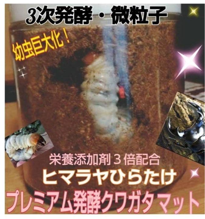 ミヤマクワガタ、ノコギリ幼虫に抜群！800mlボトル入プレミアム発酵マット40本