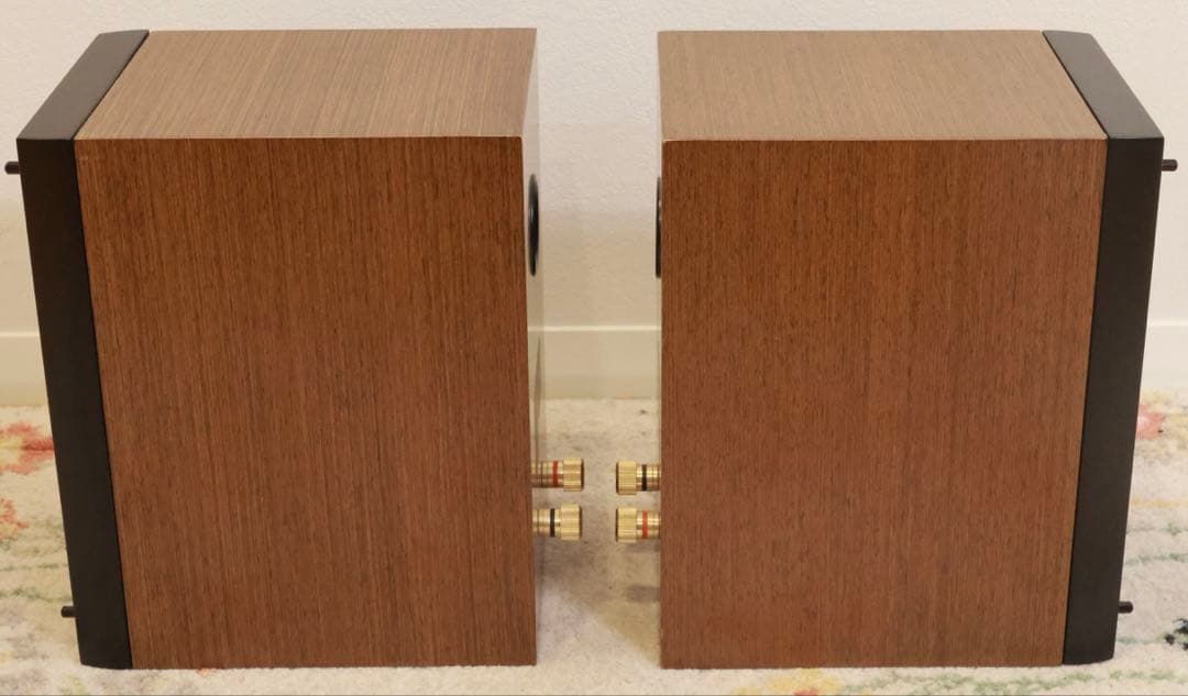 Pioneer パイオニア S-CN301-LR スピーカー ペア