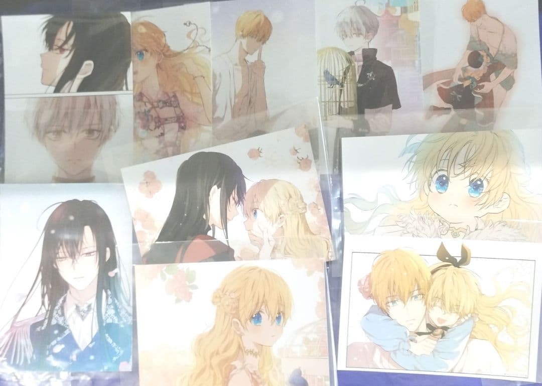 アニメイト　フェア　ある日、お姫様になってしまった件について　ブロマイド　特典