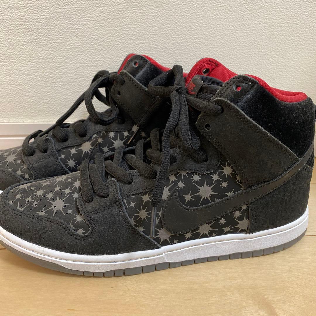 NIKE dunk sb hi ブルックリンプロジェクトパパラッチ8(26cm)