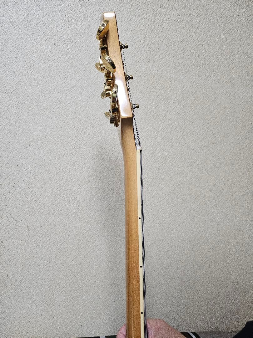 FERNANDES MG-80X　HIDEモデル　モッキンバード