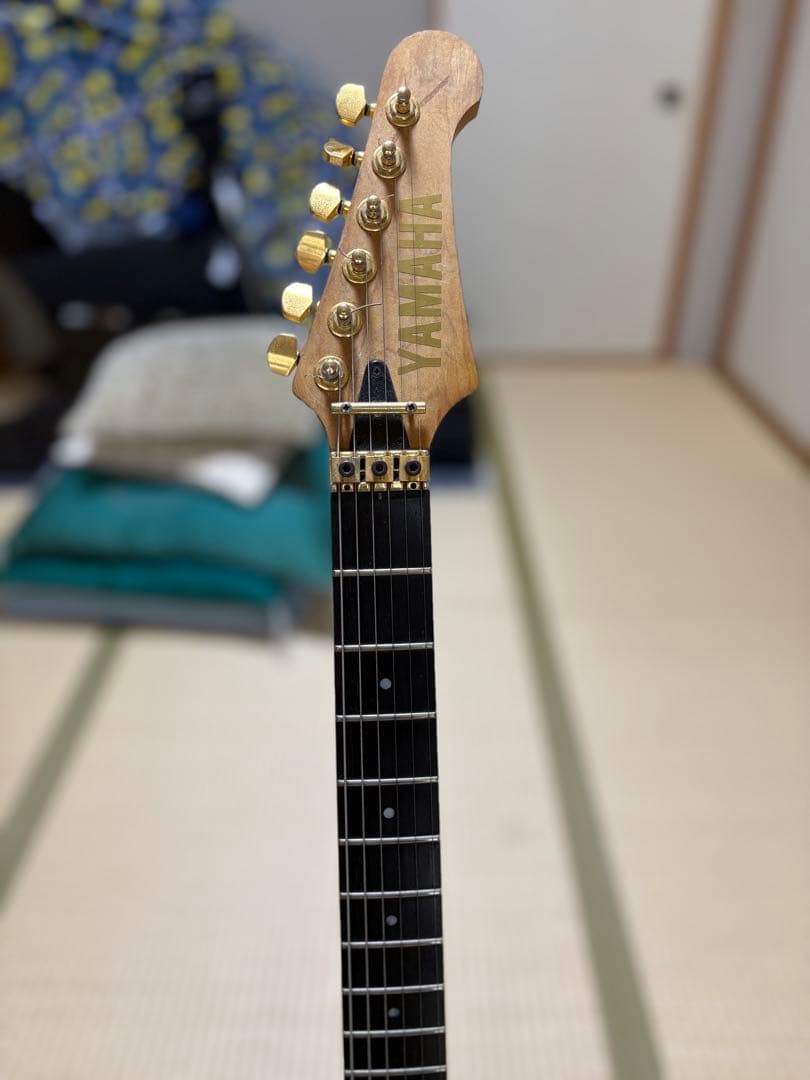 PACIFICA 721DH ディマジオDP158,DP159搭載　良音