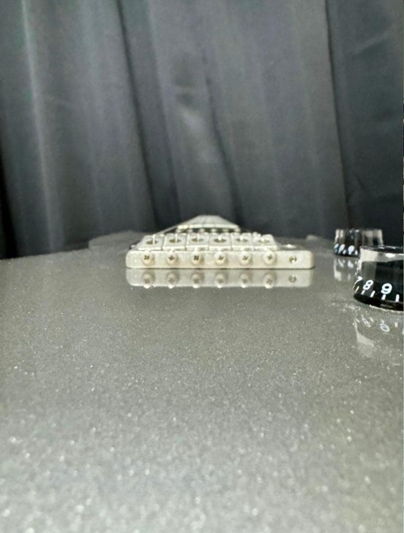 PRS SE STANDARD 24 Platinum ポールリードスミス