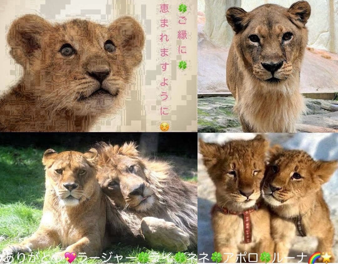 もしこの世界に神様がいるとするならば B2布ポスター