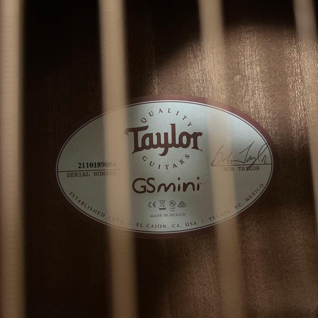Taylor GS Mini ケース付