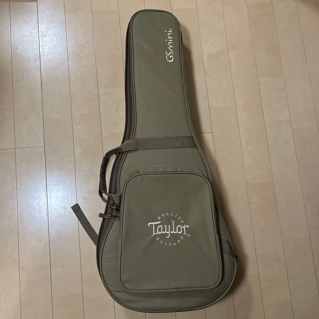Taylor GS Mini ケース付