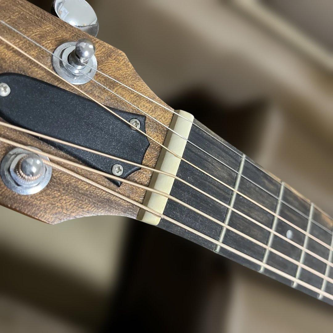 Taylor GS Mini ケース付