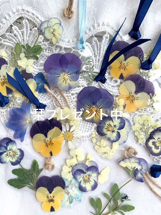 出品再開✨花 SAIKA 押し花アートインテリアホワイト額　ピンクガーベラブーケ