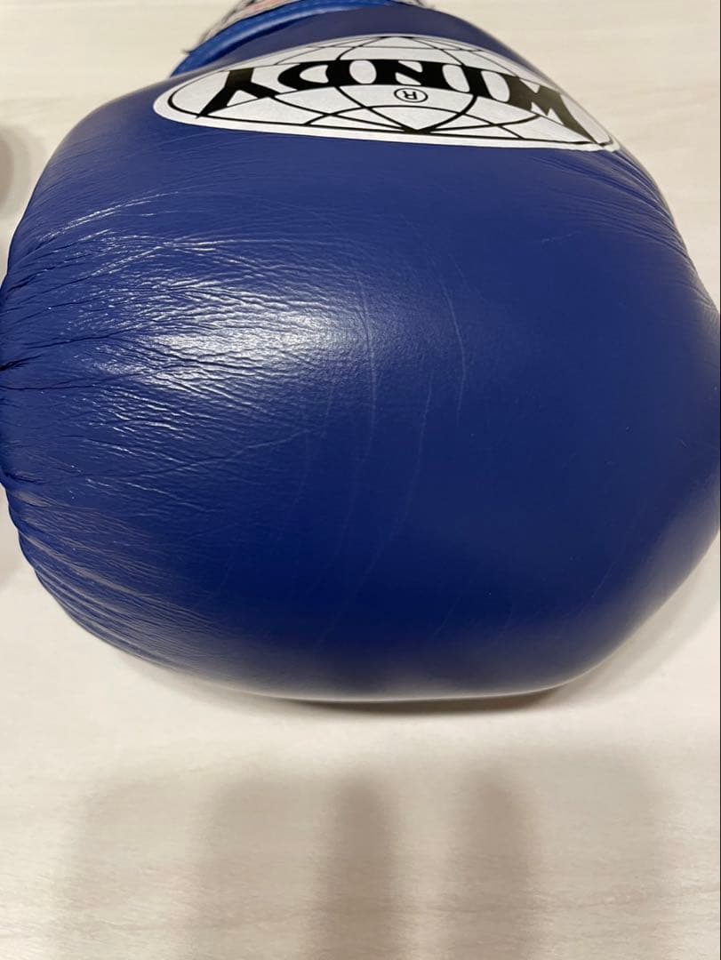 WINDY ボクシンググローブ 12oz BGVH 青