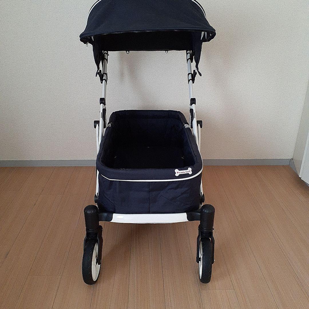 ピッコロカーネ　クレア