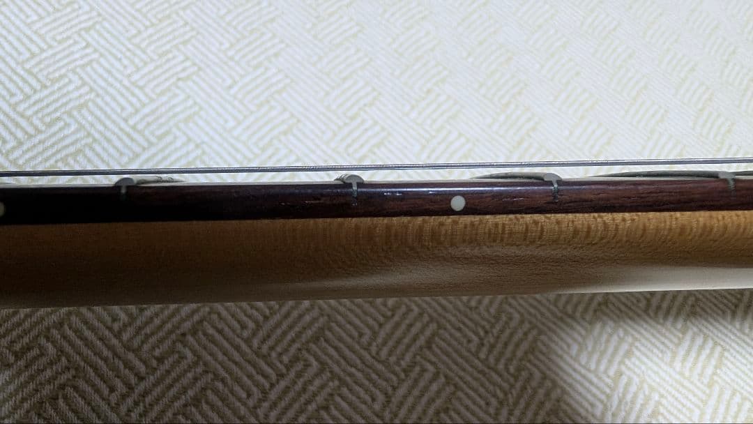 Burny/バーニー LG-480 レスポールタイプ エレキギター（ギター弦付）