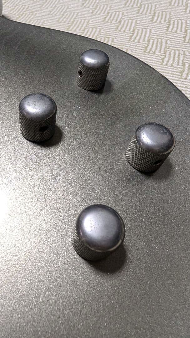 Burny/バーニー LG-480 レスポールタイプ エレキギター（ギター弦付）