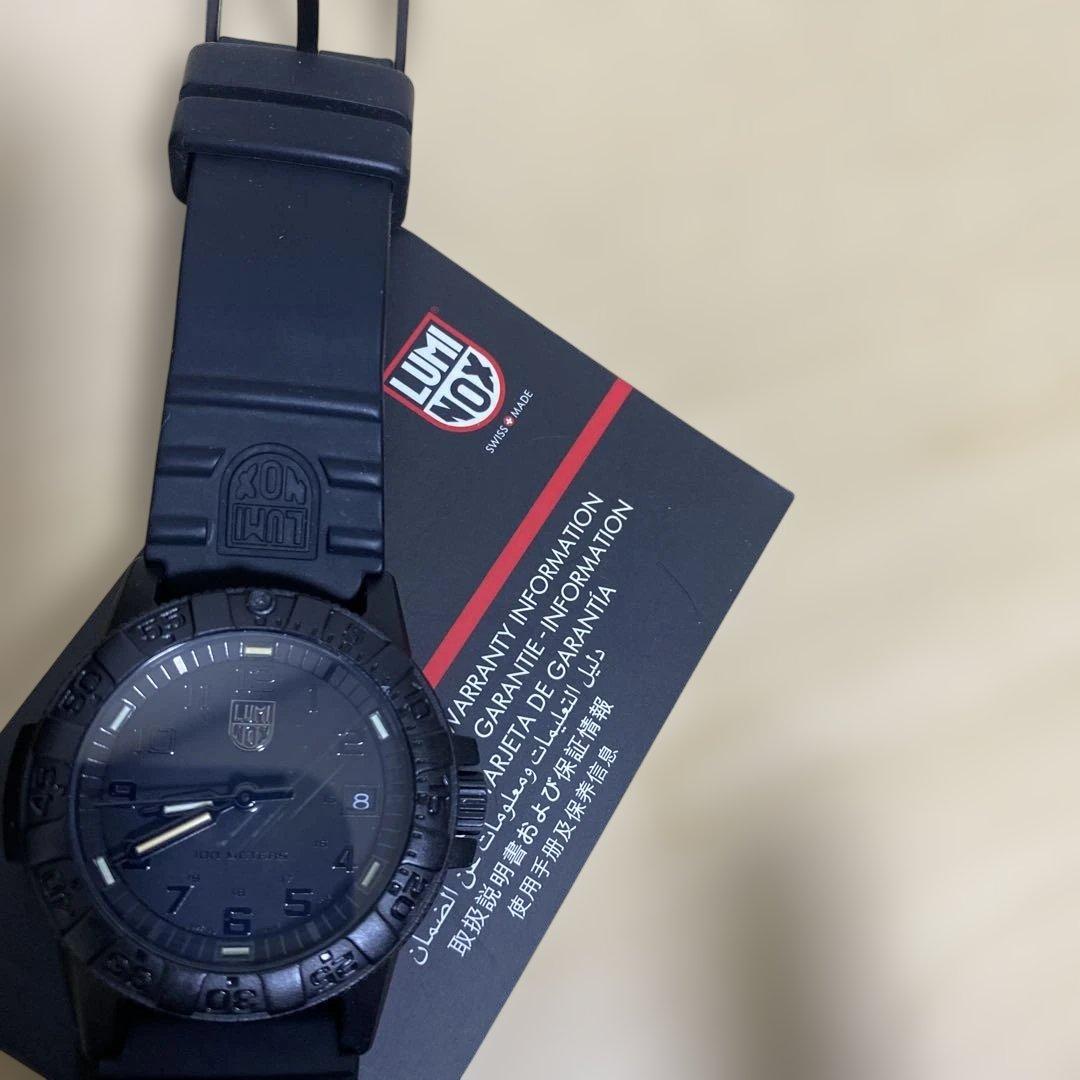 LUMINOX ルミノックス　0300-1GBq 稼働中。