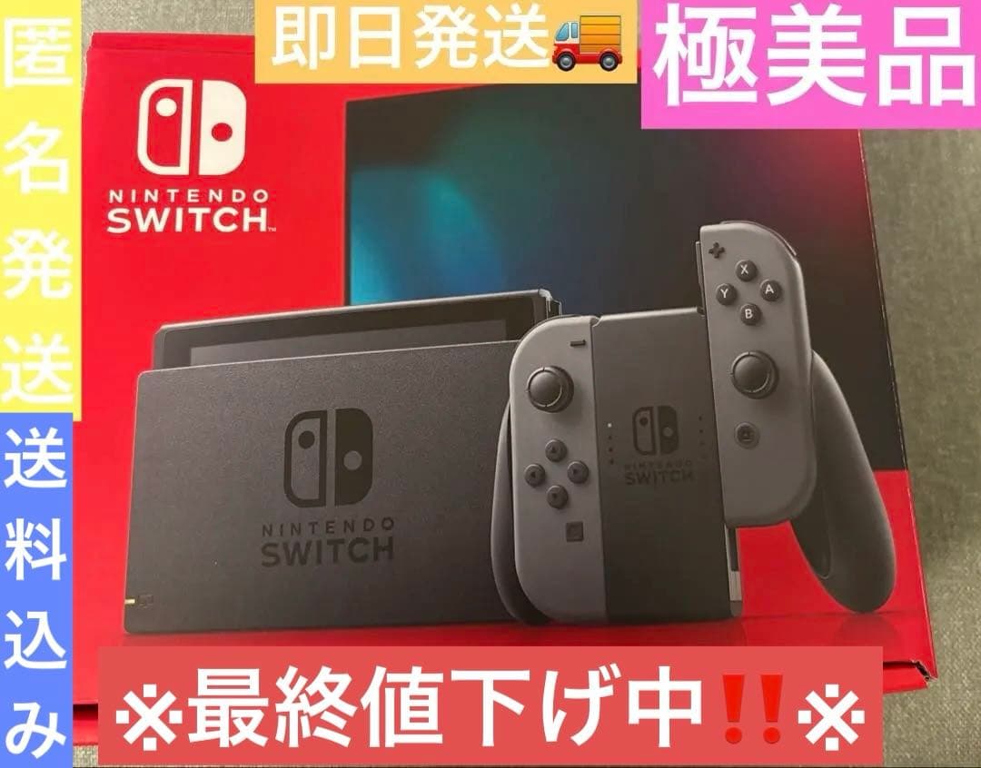 【極美品】Nintendo Switch スイッチ グレー 本体 付属品完備
