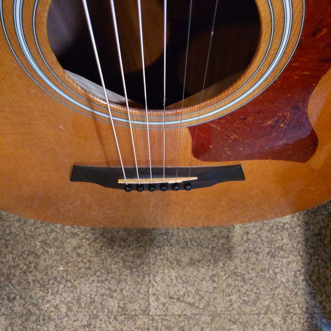 Taylor 214ce-G エレアコ （管理ワテ）