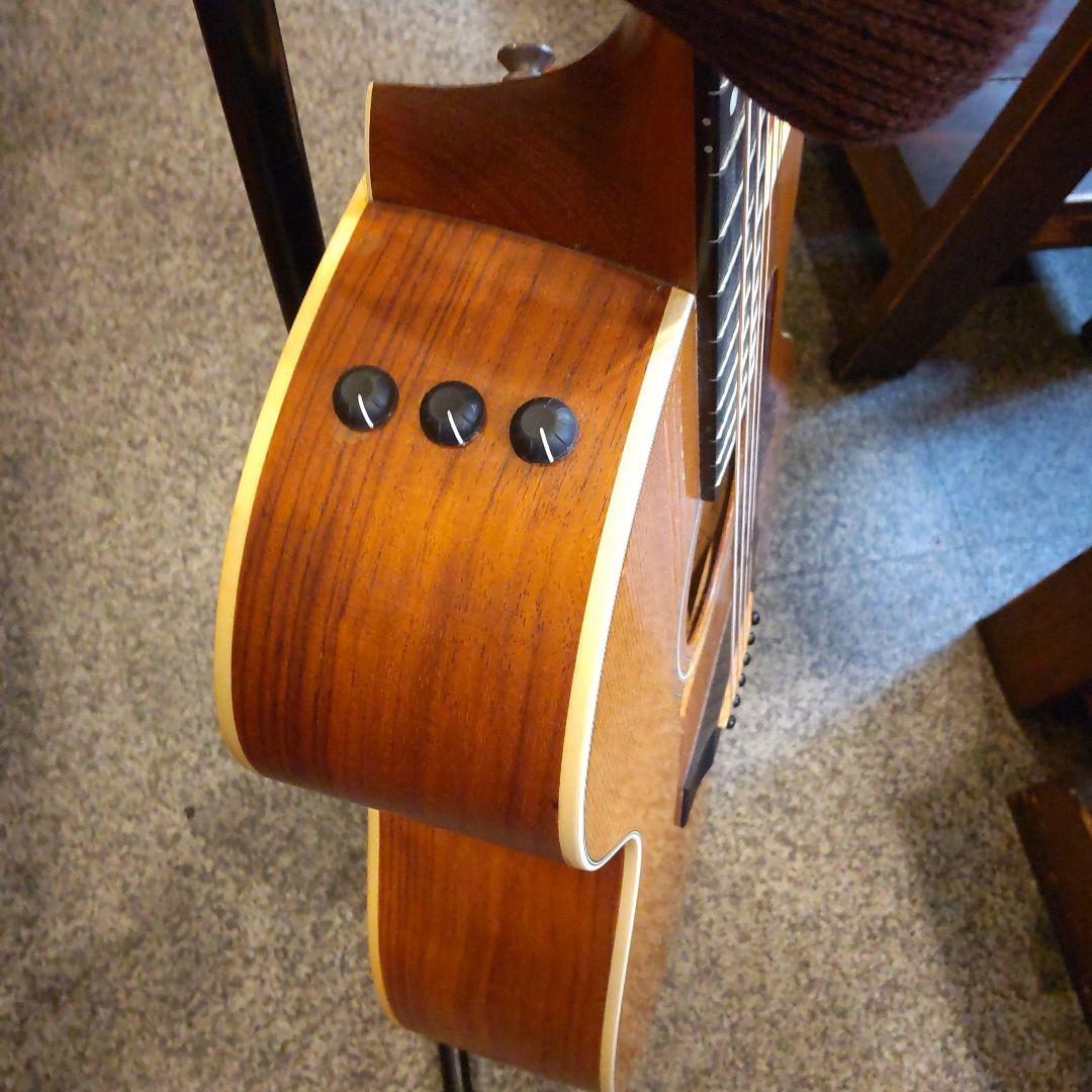 Taylor 214ce-G エレアコ （管理ワテ）