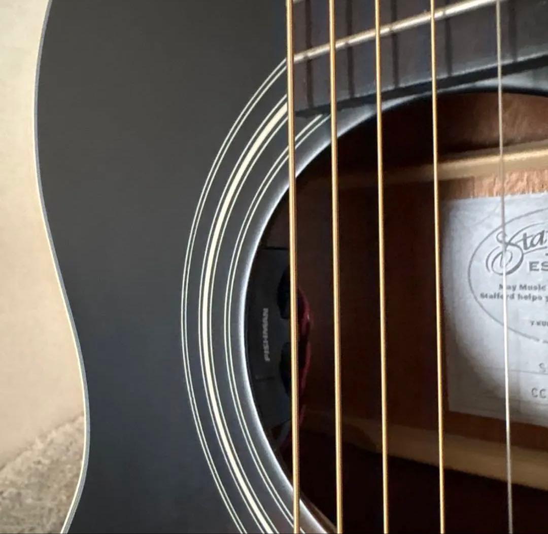 【きゃの】Stafford エレアコ