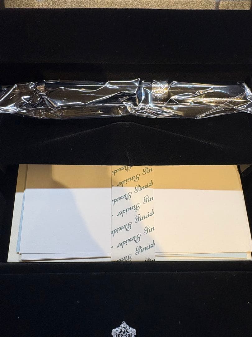 Montblanc ピナイダー 万年筆 ブラック