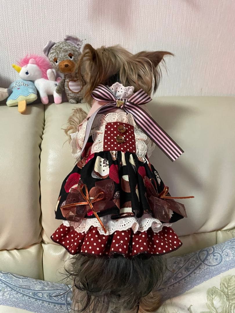 バレンタイン　犬用カップケーキ柄ドレス