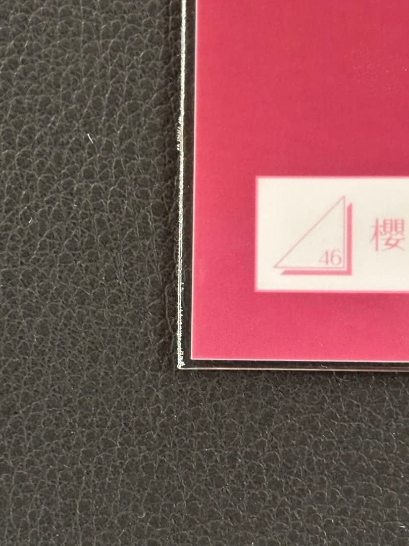 櫻坂46 藤吉夏鈴 2025年サンタ衣装 直筆サイン入り生写真