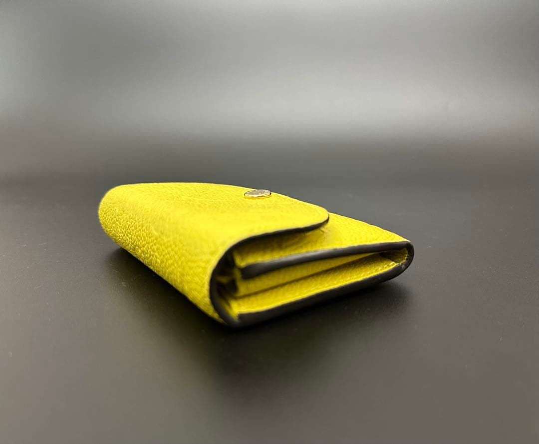 ⭐︎本日発送⭐︎【美品】ルイヴィトン ポルトモネロザリ財布ケース ICチップ