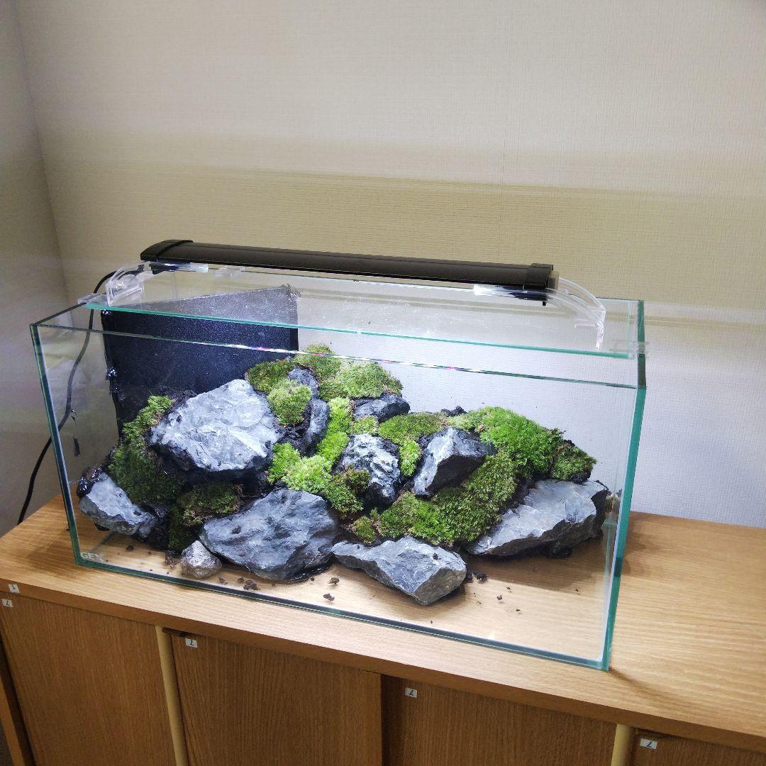 【完成品】アクアリウム　アクアテラリウム