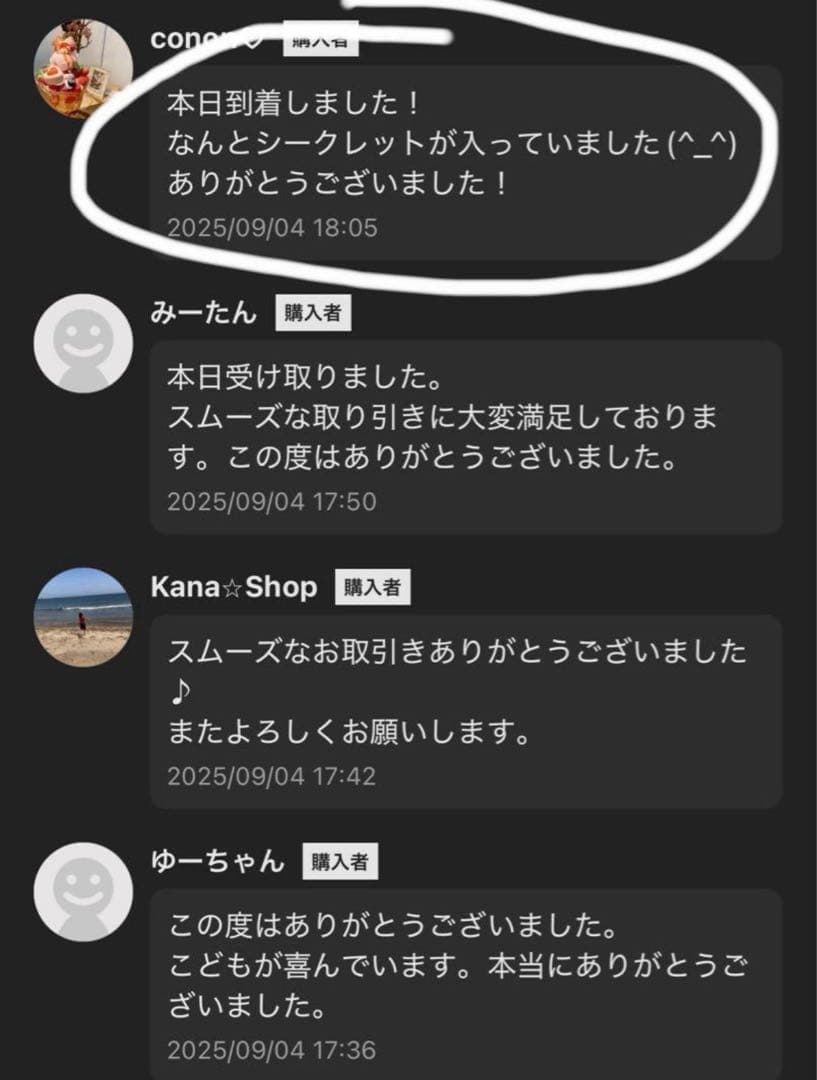 【正規品・未開封】Labubu Big into Energy 1箱