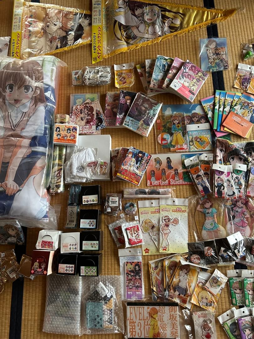 裕*様 とある魔術の禁書目録ととある科学の超電磁砲セット